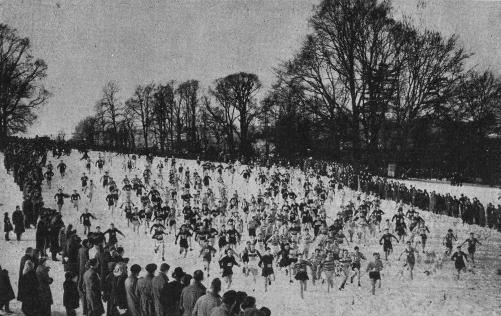 Shendish Park, Apsley