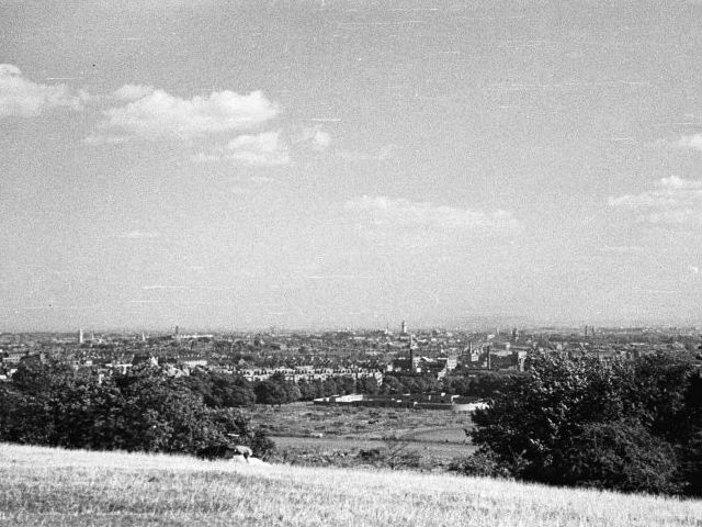Parliament Hill Fields, London