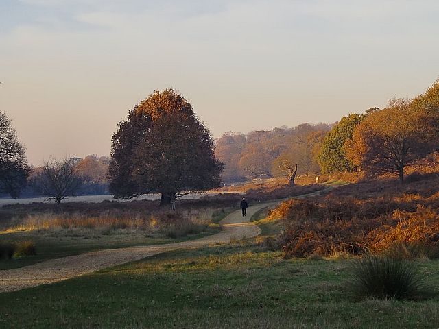 Richmond Park, London