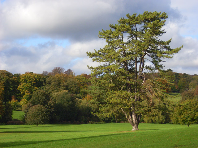 Hughenden Park, High Wycombe