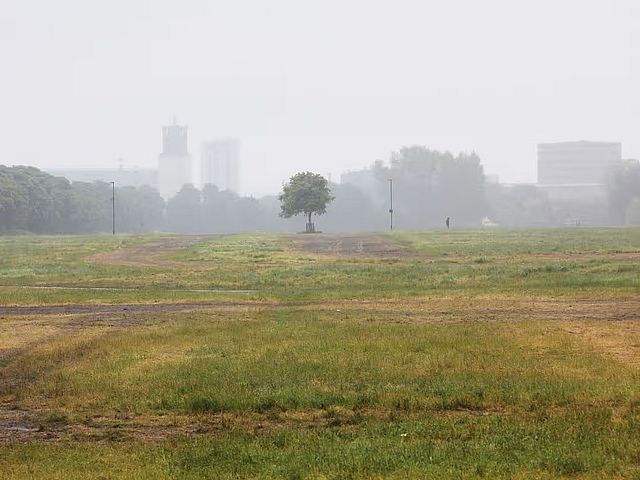 Town Moor