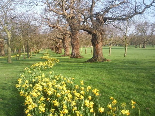 Foots Cray Meadows, Bexley