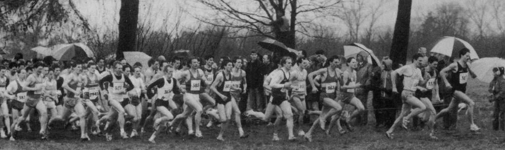 Leaders in the early stages