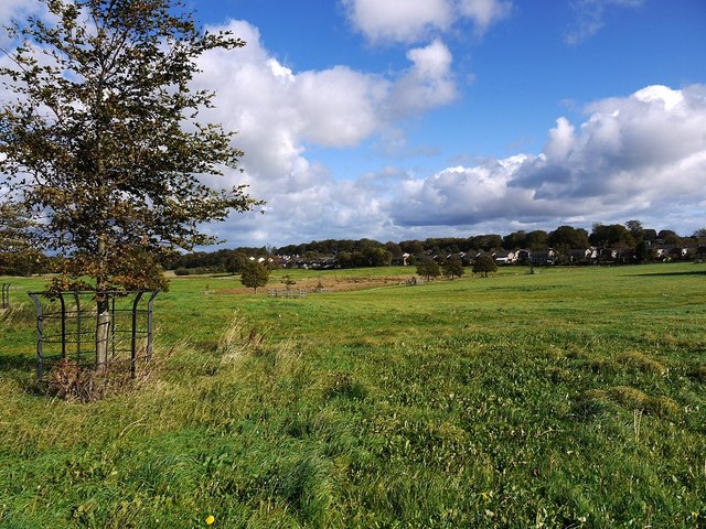 Hardwick Hall Park, Sedgefield