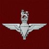 1st Battalion Parachute Regiment badge