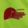 Aurora Harriers badge