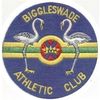 Biggleswade AC badge