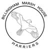 Billingham Marsh House Harriers & AC badge