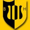Blaydon Harriers badge