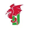 Cheshire Dragons badge