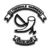 Clydesdale Harriers badge