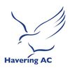 Havering AC badge