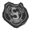 Selsonia Ladies AC badge