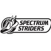 Spectrum Striders badge