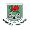Swansea Harriers badge
